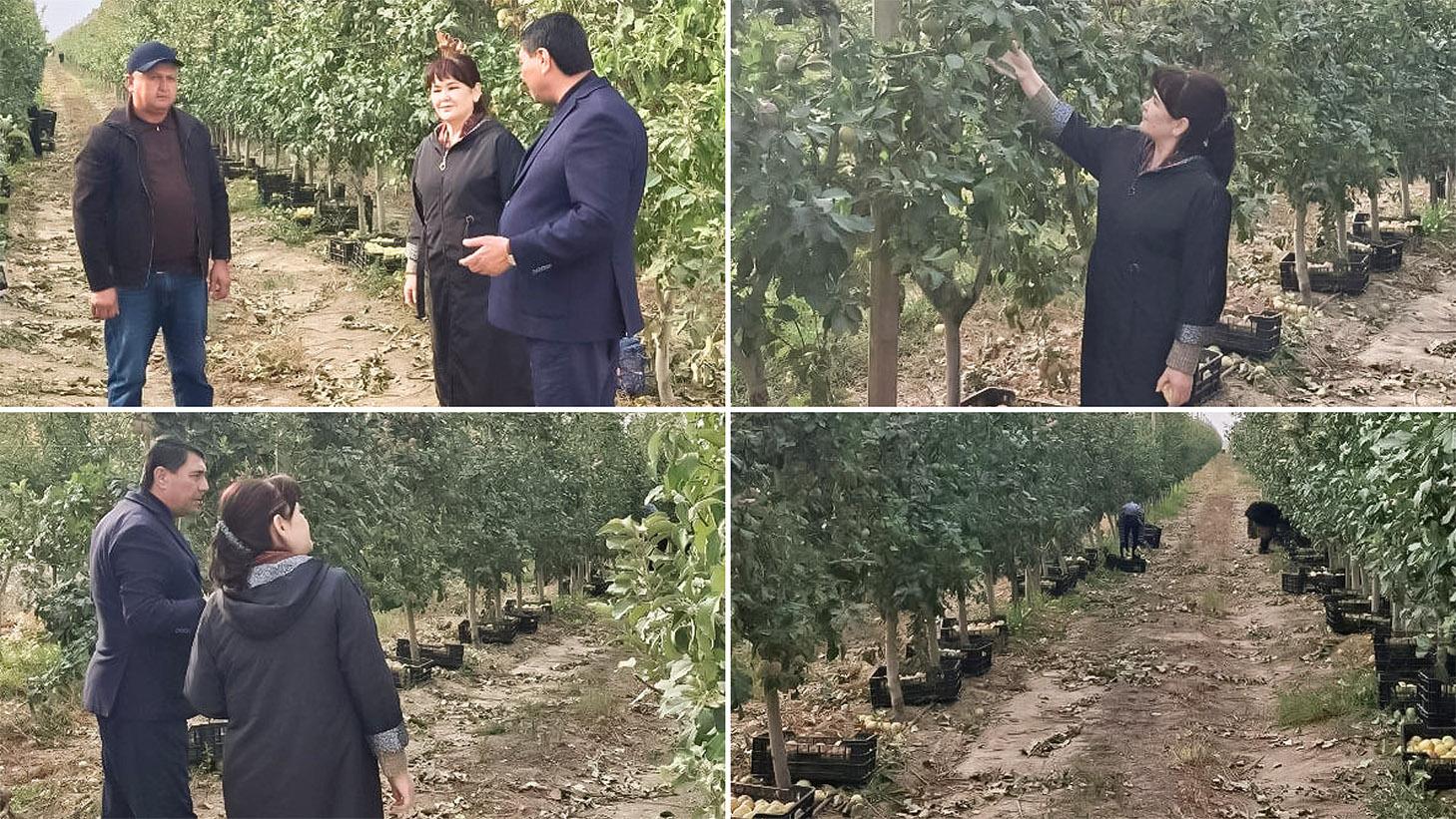 Jizzaxda aholini iş bilan ta’minlaş masalasi örganildi