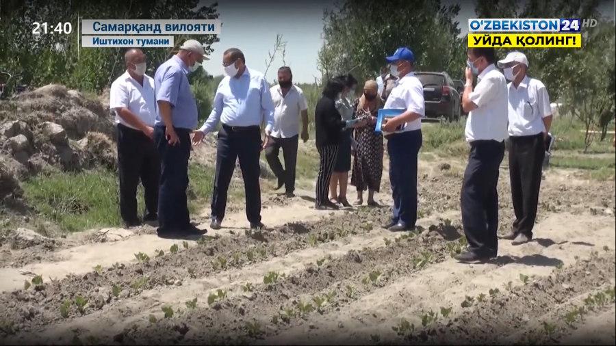 У.Иноятов бошчилигидаги парламент қуйи палатаси ишчи гуруҳи Самарқанд вилоятидаги ҳолатни ўрганди (видео)