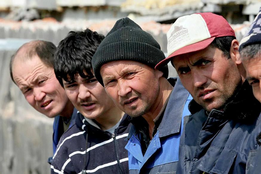 Ёлланма ишчиларнинг ҳуқуқлари кафолати қачон таъминланади?