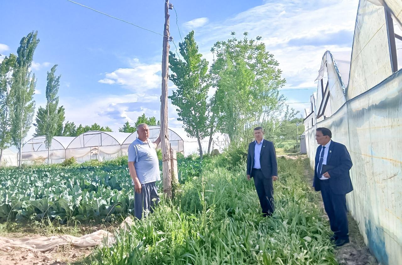 Aholi murojaatlari asosida deputatlik so‘rovlari yuborildi