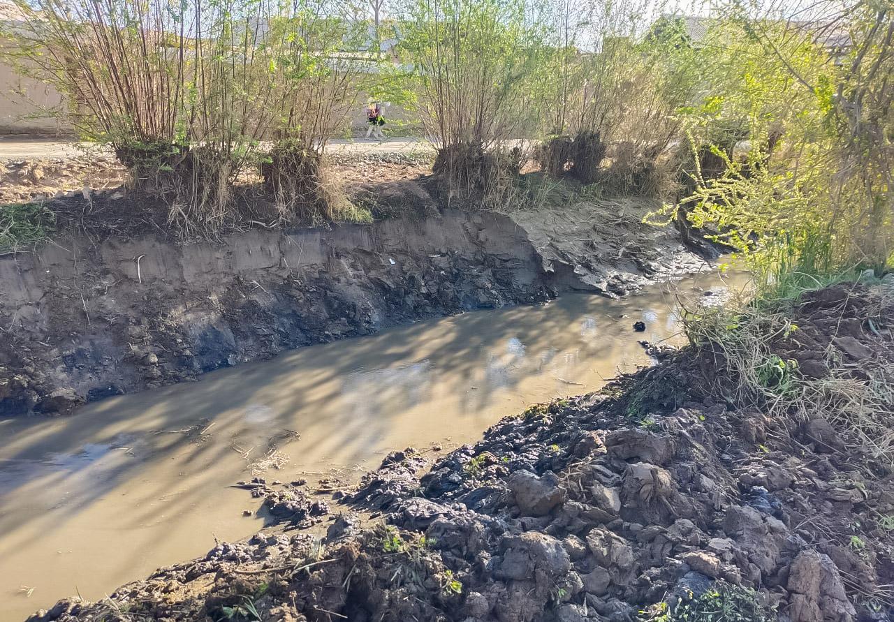 Deputat so‘rovi ijrosi ta’minlanmoqda