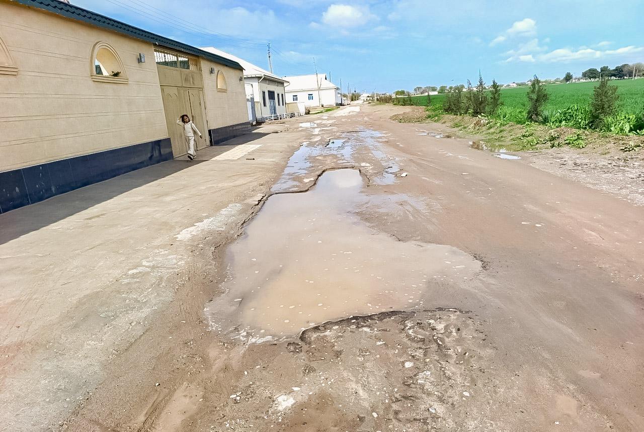 Keng qamrovli o‘rganish olib borildi